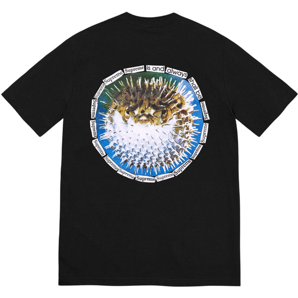 SUPREME Blowfish Tee