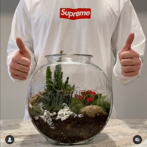 Supreme Fish Bowl